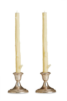  Cedar Candlesticks Pair in White Chocolate