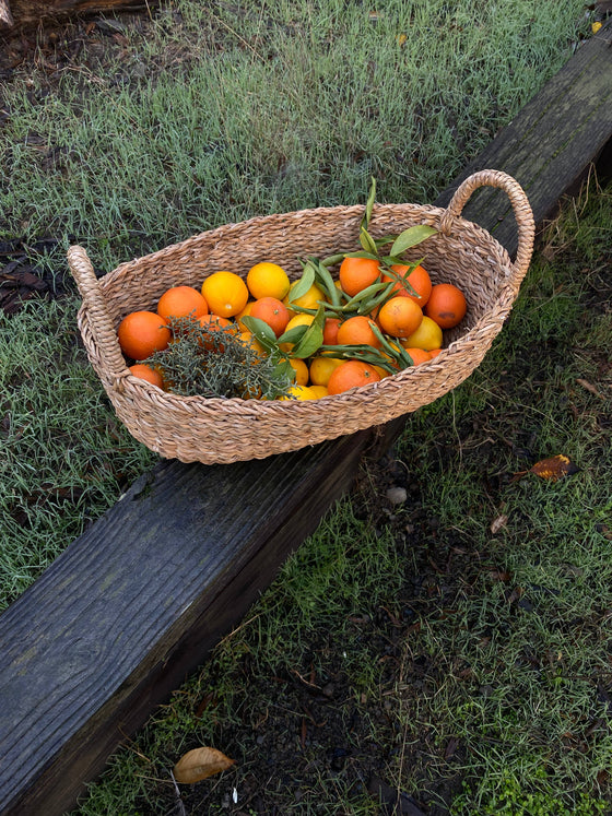 Oval Tray Basket Small