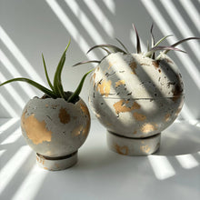  Mini-Moon 3” Pot Concrete Light Gray and Gold with Hole